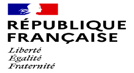 logo république francaise