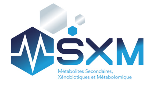 Logo MSXM